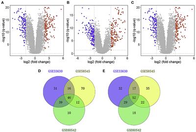 Over-Expression and Prognostic Significance of FN1, Correlating With Immune Infiltrates in Thyroid Cancer